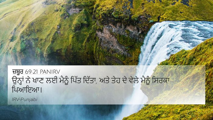 ਜ਼ਬੂਰ 69:21 PANIRV Bible Verse Image
