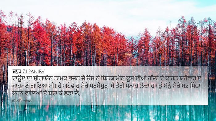 ਜ਼ਬੂਰ 7:1 PANIRV Bible Verse Image