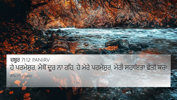 ਜ਼ਬੂਰ 71:12 PANIRV Bible Verse Image