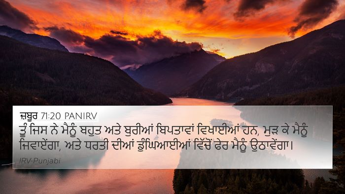 ਜ਼ਬੂਰ 71:20 PANIRV Bible Verse Image