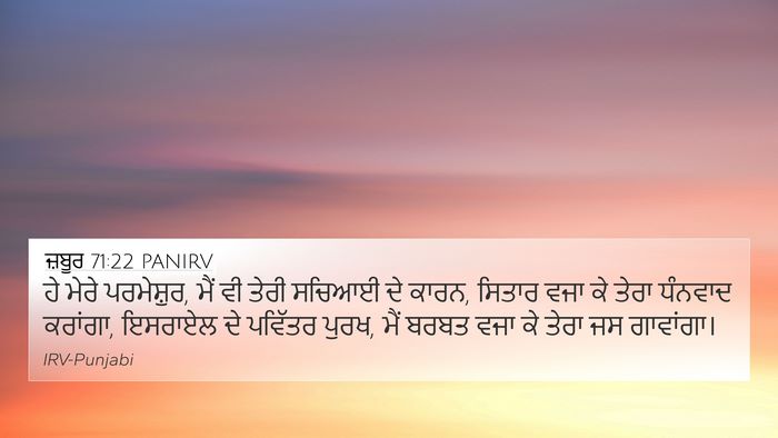ਜ਼ਬੂਰ 71:22 PANIRV Bible Verse Image