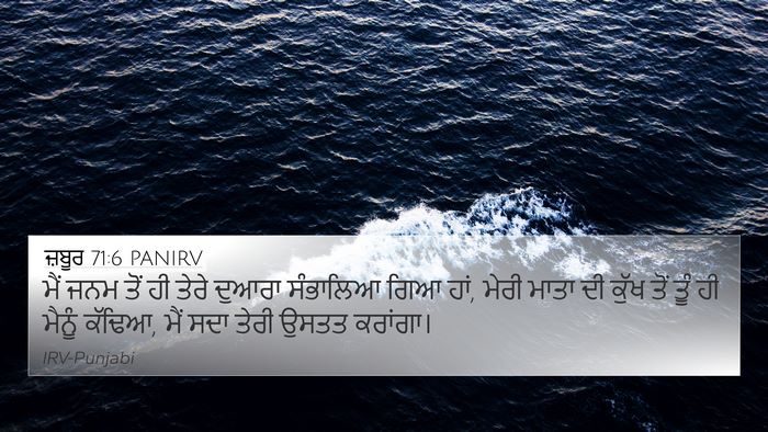 ਜ਼ਬੂਰ 71:6 PANIRV Bible Verse Image