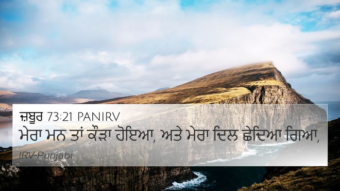 ਜ਼ਬੂਰ 73:21 PANIRV Bible Verse Image
