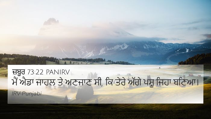 ਜ਼ਬੂਰ 73:22 PANIRV Bible Verse Image