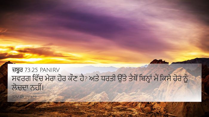 ਜ਼ਬੂਰ 73:25 PANIRV Bible Verse Image