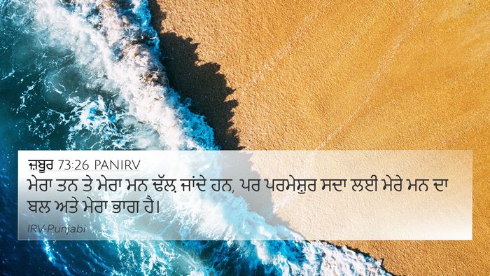 ਜ਼ਬੂਰ 73:26 PANIRV Bible Verse Image