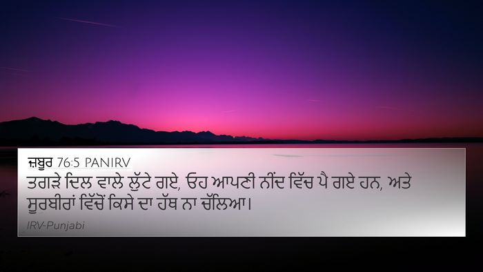ਜ਼ਬੂਰ 76:5 PANIRV Bible Verse Image