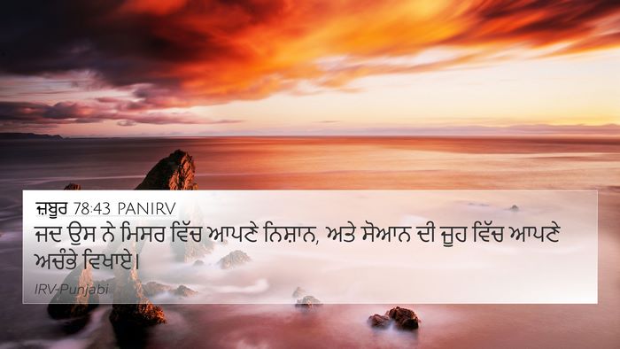 ਜ਼ਬੂਰ 78:43 PANIRV Bible Verse Image