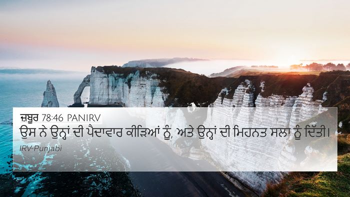 ਜ਼ਬੂਰ 78:46 PANIRV Bible Verse Image