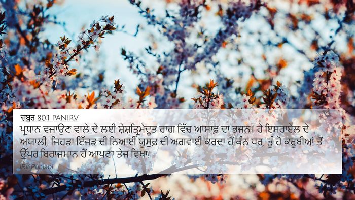 ਜ਼ਬੂਰ 80:1 PANIRV 4K Wallpaper - ਪ੍ਰਧਾਨ ਵਜਾਉਣ ਵਾਲੇ - 4K Wallpaper Bible Verse