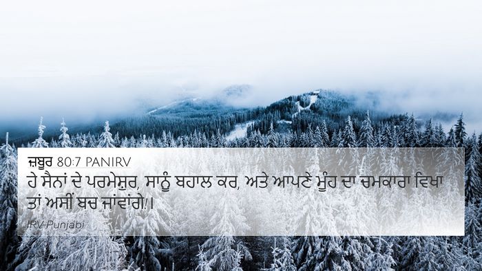 ਜ਼ਬੂਰ 80:7 PANIRV Bible Verse Image