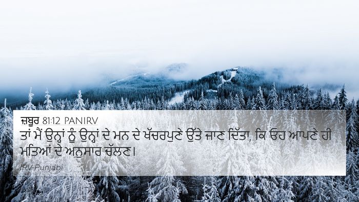ਜ਼ਬੂਰ 81:12 PANIRV Bible Verse Image