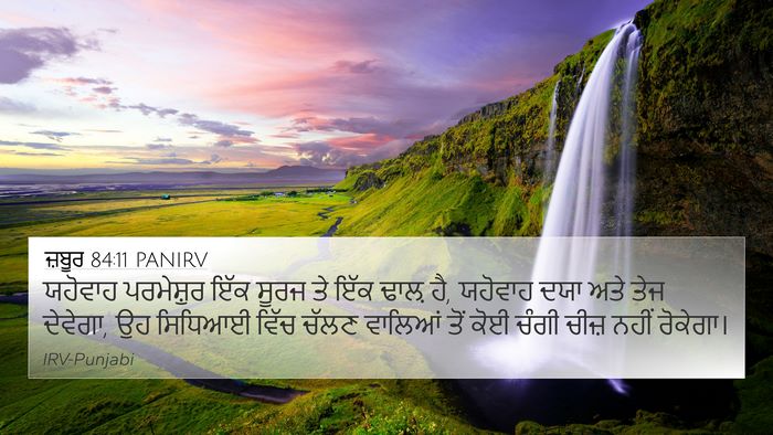 ਜ਼ਬੂਰ 84:11 PANIRV Bible Verse Image
