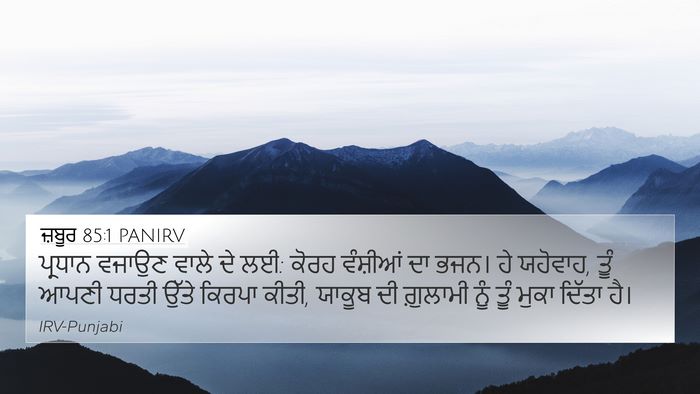 ਜ਼ਬੂਰ 85:1 PANIRV Bible Verse Image