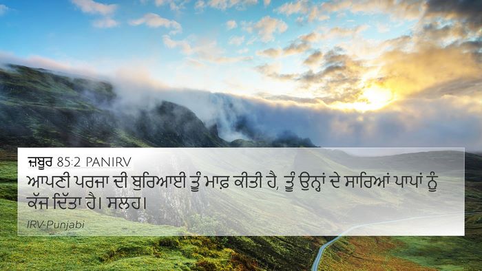 ਜ਼ਬੂਰ 85:2 PANIRV Bible Verse Image