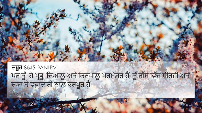 ਜ਼ਬੂਰ 86:15 PANIRV Bible Verse Image