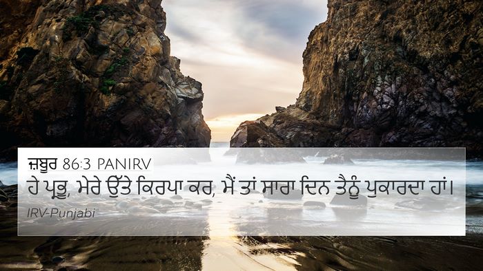 ਜ਼ਬੂਰ 86:3 PANIRV Bible Verse Image