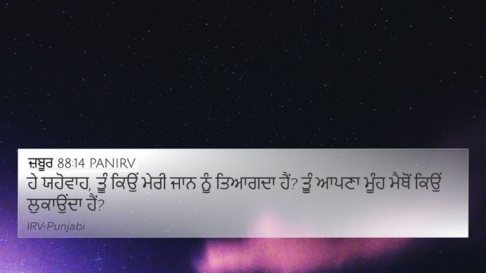 ਜ਼ਬੂਰ 88:14 PANIRV Bible Verse Image