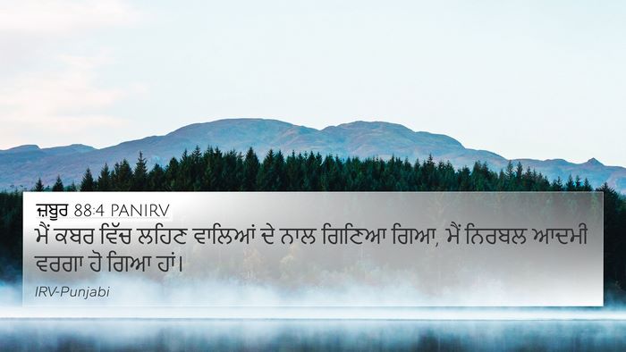 ਜ਼ਬੂਰ 88:4 PANIRV Bible Verse Image