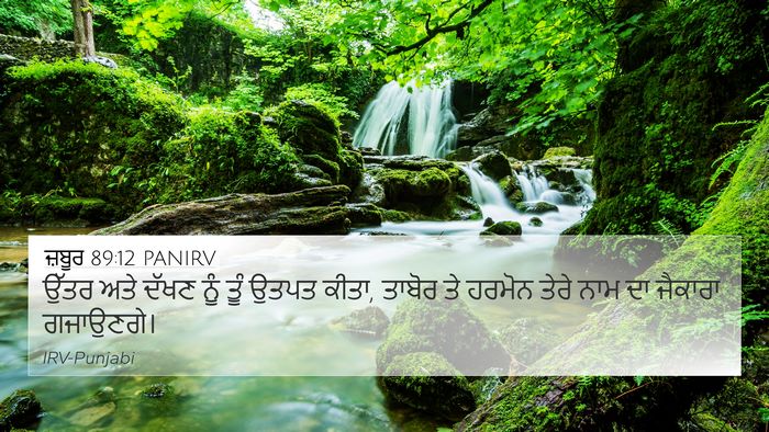 ਜ਼ਬੂਰ 89:12 PANIRV Bible Verse Image