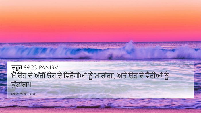 ਜ਼ਬੂਰ 89:23 PANIRV Bible Verse Image