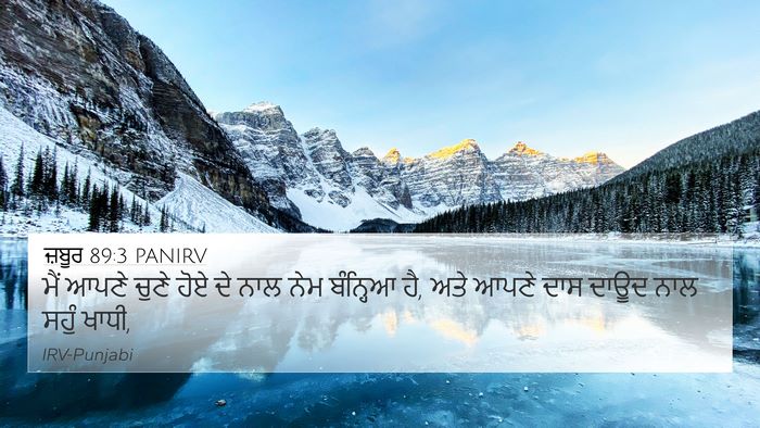 ਜ਼ਬੂਰ 89:3 PANIRV Bible Verse Image