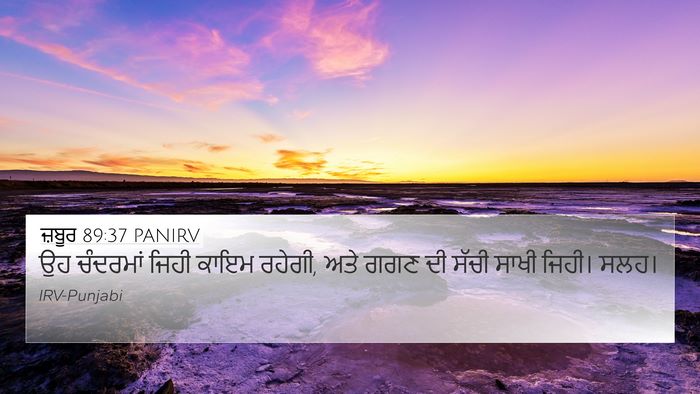 ਜ਼ਬੂਰ 89:37 PANIRV Bible Verse Image
