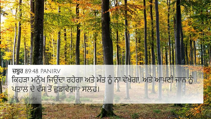 ਜ਼ਬੂਰ 89:48 PANIRV Bible Verse Image