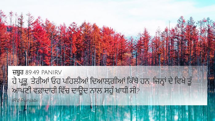 ਜ਼ਬੂਰ 89:49 PANIRV Bible Verse Image