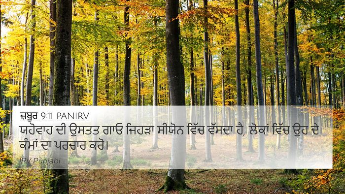 ਜ਼ਬੂਰ 9:11 PANIRV Bible Verse Image
