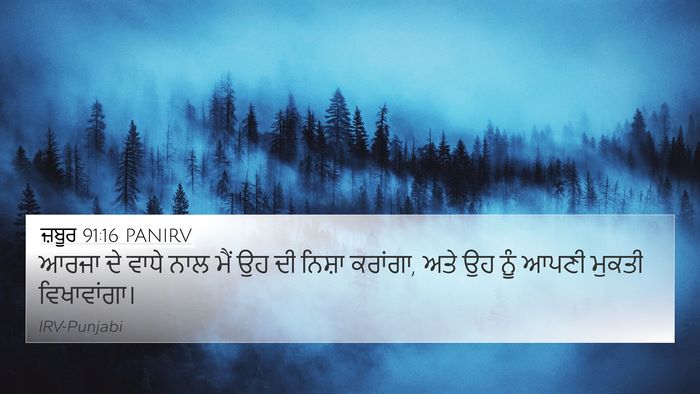 ਜ਼ਬੂਰ 91:16 PANIRV Bible Verse Image