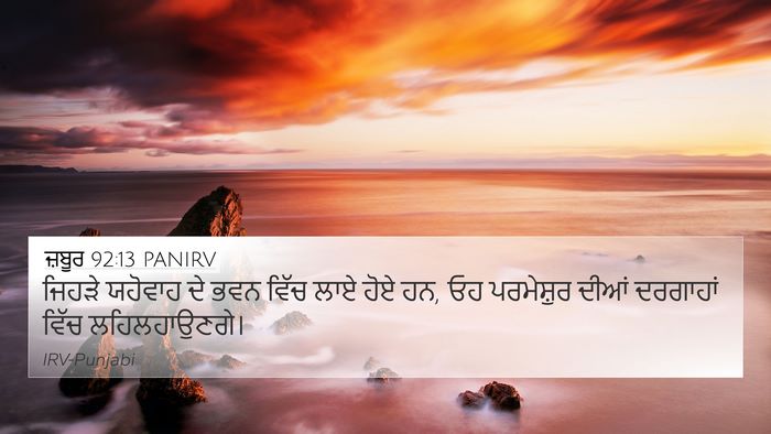 ਜ਼ਬੂਰ 92:13 PANIRV Bible Verse Image