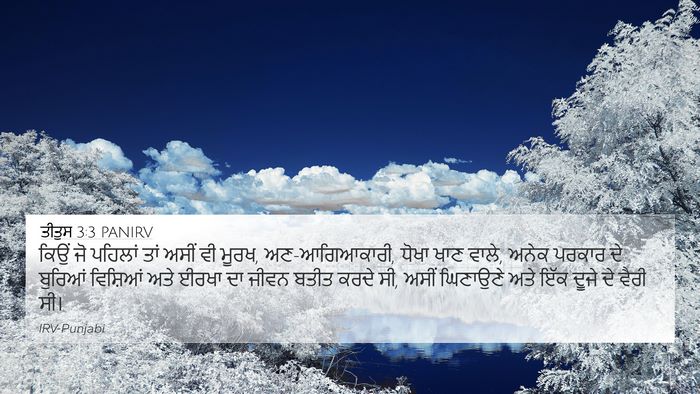 ਤੀਤੁਸ 3:3 PANIRV Bible Verse Image