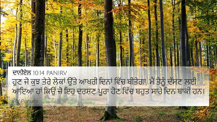 ਦਾਨੀਏਲ 10:14 PANIRV Bible Verse Image