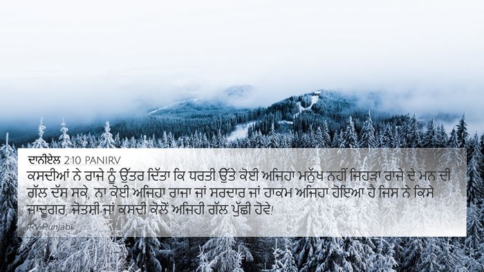 ਦਾਨੀਏਲ 2:10 PANIRV Bible Verse Image