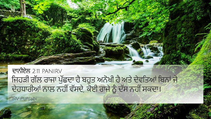 ਦਾਨੀਏਲ 2:11 PANIRV Bible Verse Image