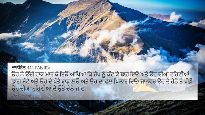 ਦਾਨੀਏਲ 4:14 PANIRV Bible Verse Image