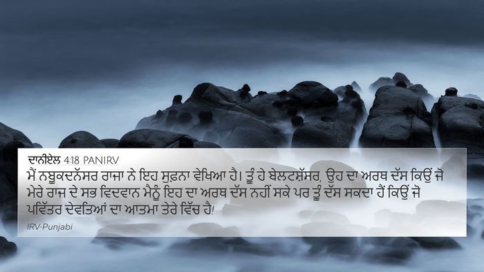 ਦਾਨੀਏਲ 4:18 PANIRV Bible Verse Image