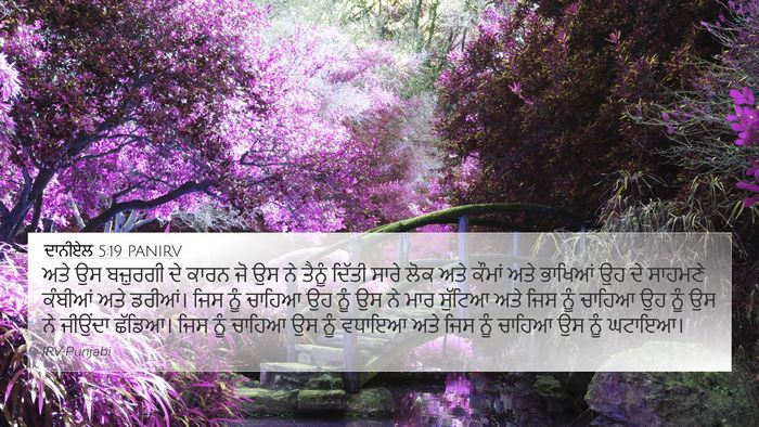 ਦਾਨੀਏਲ 5:19 PANIRV Bible Verse Image