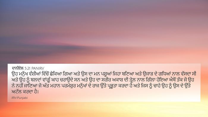 ਦਾਨੀਏਲ 5:21 PANIRV Bible Verse Image