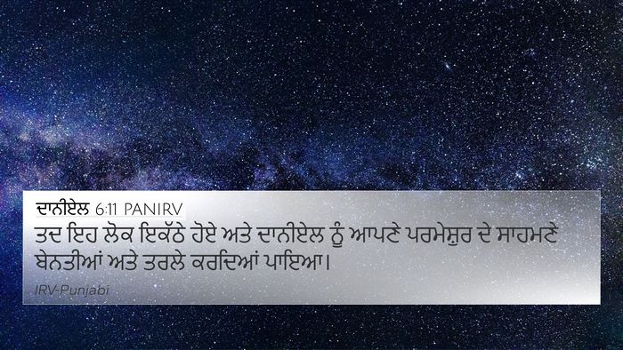 ਦਾਨੀਏਲ 6:11 PANIRV 4K Wallpaper - ਤਦ ਇਹ ਲੋਕ ਇਕੱਠੇ ਹੋਏ - 4K Wallpaper Bible Verse