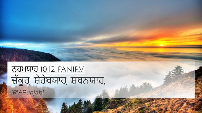 ਨਹਮਯਾਹ 10:12 PANIRV Bible Verse Image