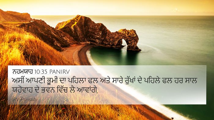ਨਹਮਯਾਹ 10:35 PANIRV Bible Verse Image