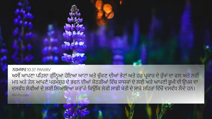 ਨਹਮਯਾਹ 10:37 PANIRV Bible Verse Image