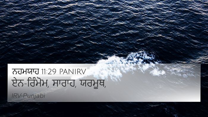 ਨਹਮਯਾਹ 11:29 PANIRV Bible Verse Image