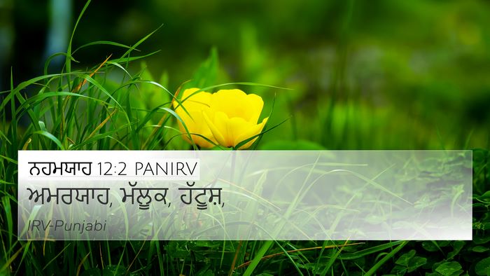 ਨਹਮਯਾਹ 12:2 PANIRV Bible Verse Image