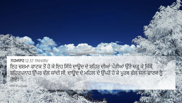 ਨਹਮਯਾਹ 12:37 PANIRV Bible Verse Image