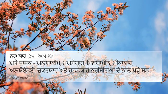 ਨਹਮਯਾਹ 12:41 PANIRV Bible Verse Image