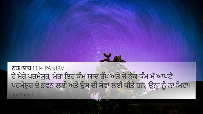ਨਹਮਯਾਹ 13:14 PANIRV Bible Verse Image