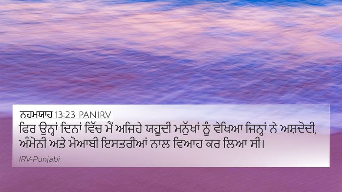 ਨਹਮਯਾਹ 13:23 PANIRV Bible Verse Image